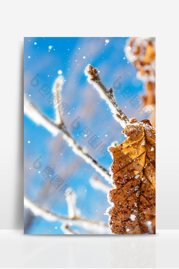 雪景合成冰雪落叶背景