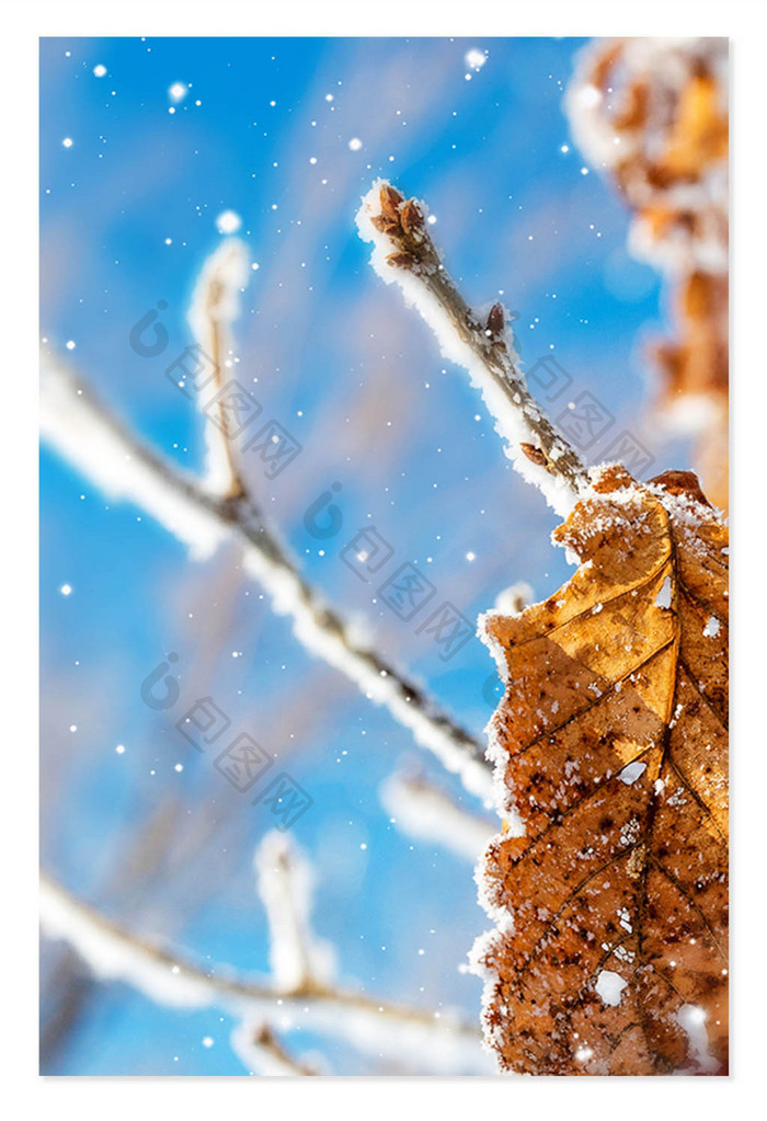 雪景合成冰雪落叶背景