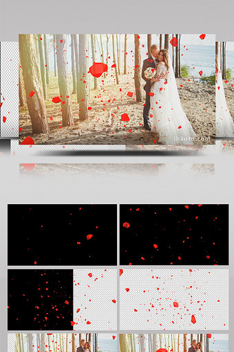 红色水晶飞入动画效果带透明通道视频素材图片