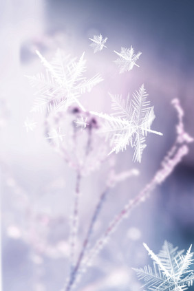 雪地场景雪摄影图合成背景