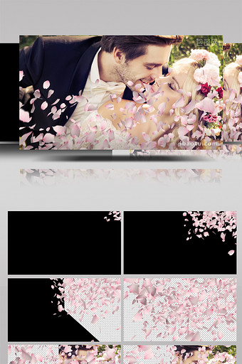 樱花花瓣落下转场动画带透明通道视频素材图片