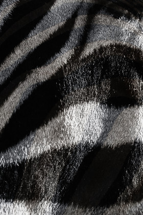 斑马黑白毛发纹理动物毛