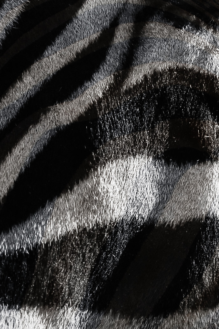 斑马黑白毛发纹理动物毛图片
