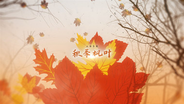 秋天飘落秋季枫叶文字标题展示动画AE模板