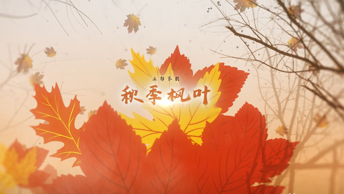 秋天飘落秋季枫叶文字标题展示动画AE模板