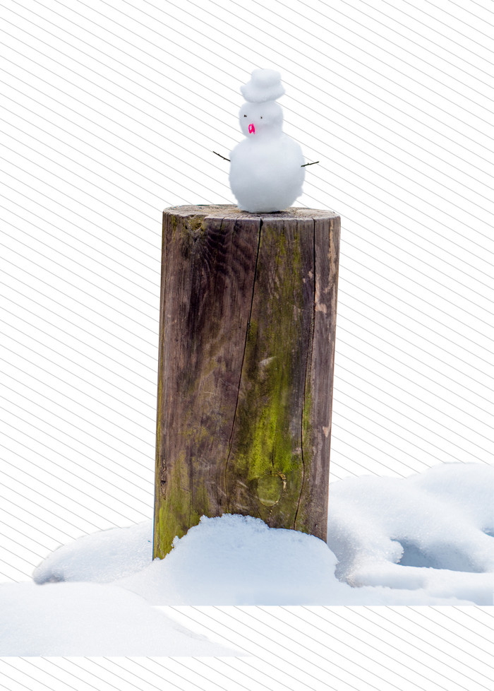 写实雪树桩雪地里小雪人雪景真实图片