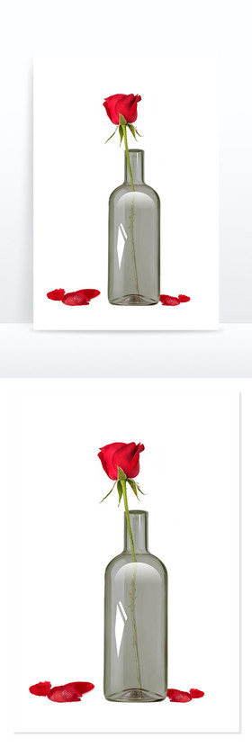 浪漫玻璃瓶插花玫瑰花花瓣