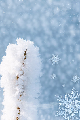 大雪雪景雪白雪大寒节气背景