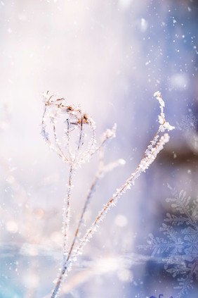 浪漫雪地大雪大寒节气背景