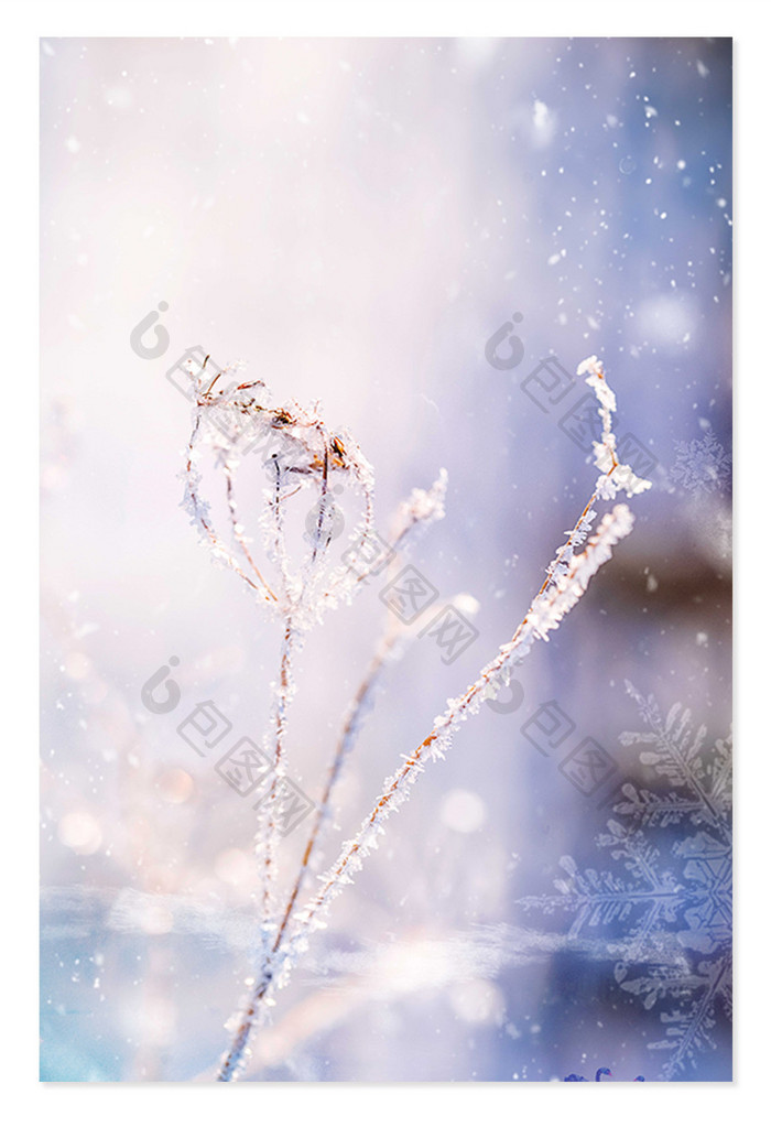 浪漫雪地大雪大寒节气背景