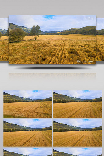 中国西部高原乡村农业基地4K航拍图片