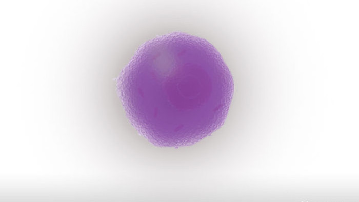 易用写实类mg动画医疗类一个卵细胞