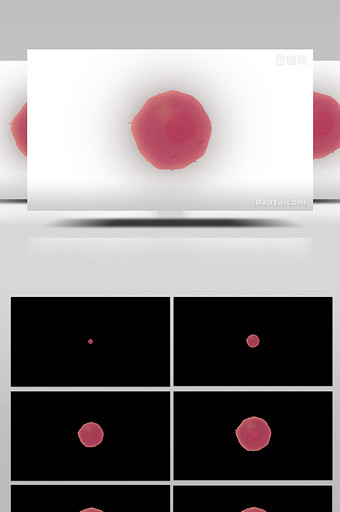 易用写实mg动画医疗类卵细胞图片