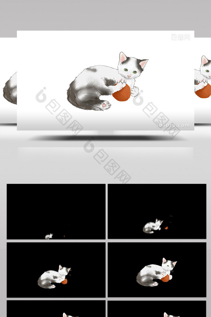 易用mg动画写实类动物类玩毛线球的黑白猫