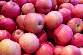 新鲜红富士苹果摄影图