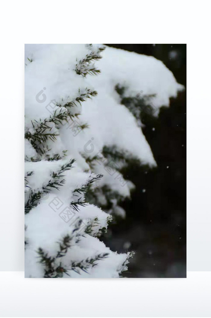 冬天的第一场大雪