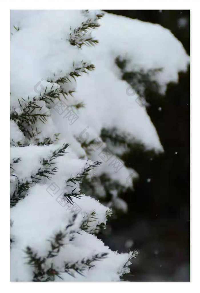 冬天的第一场大雪