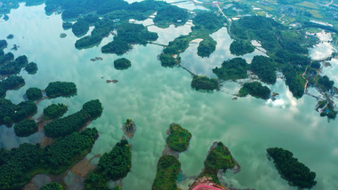 唯美大气自然绿色生态水库湖水风景航拍