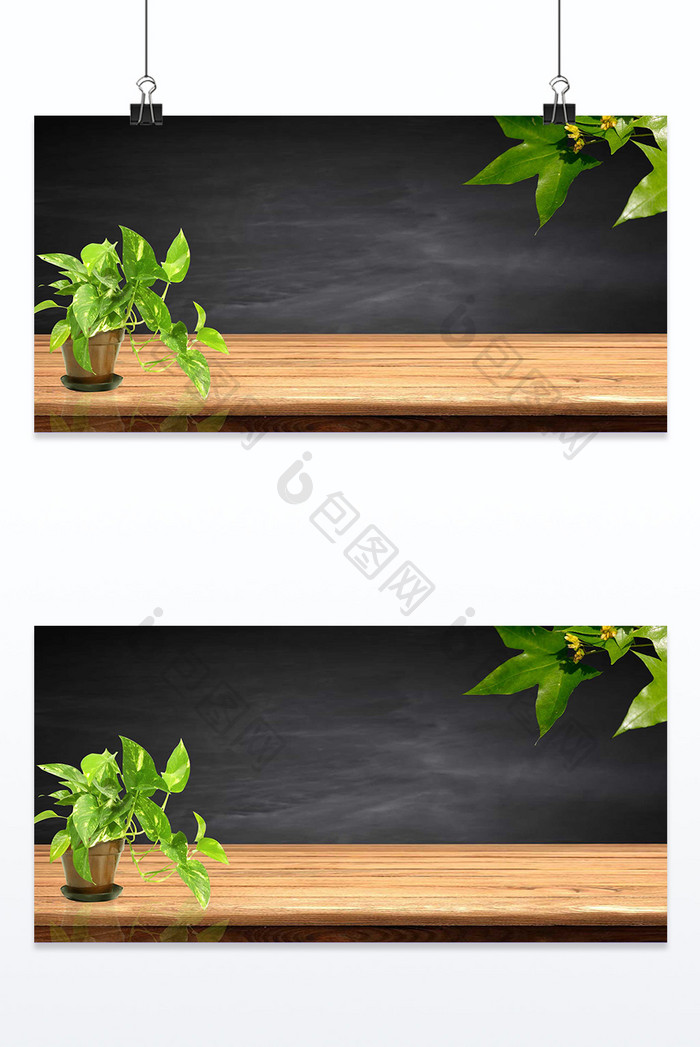 木板绿植植物文艺清新背景