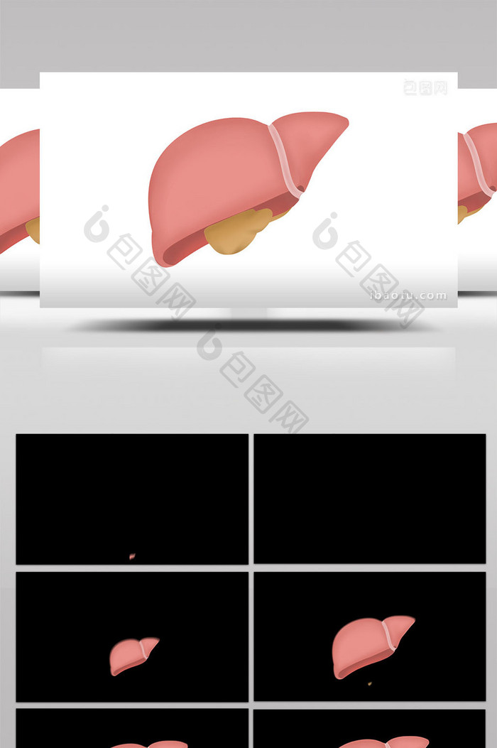 易用写实类mg动画医疗类人体器官肝脏