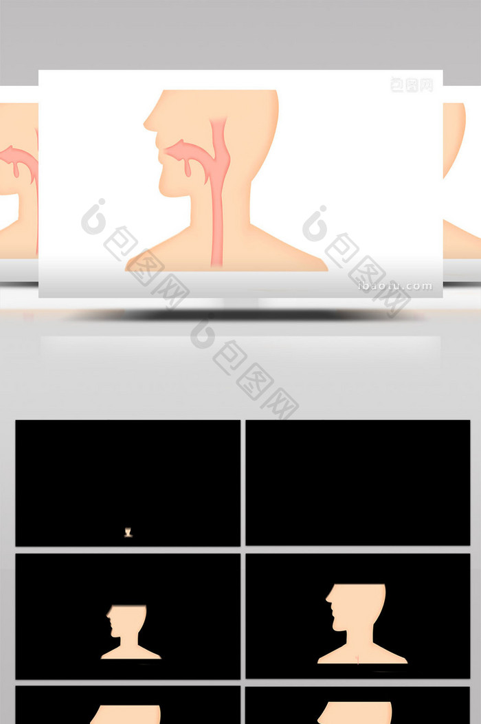 易用写实类mg动画医疗类人体器官食道