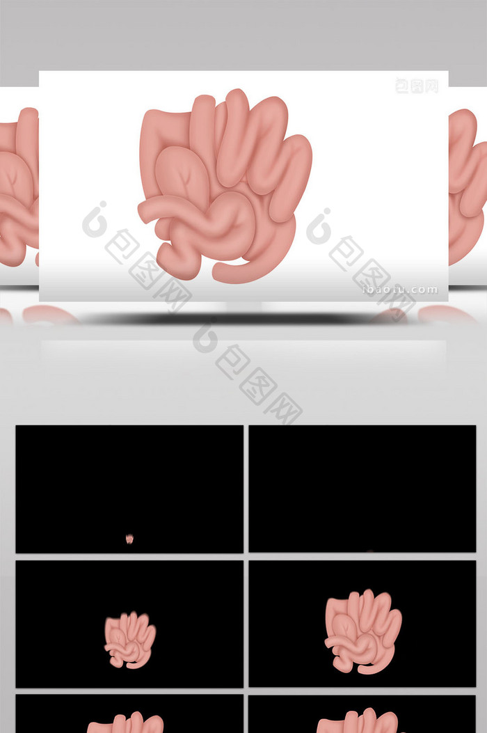 易用写实类mg动画医疗类人体器官小肠