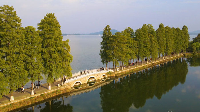 武汉东湖游客来往自然风光4K航拍