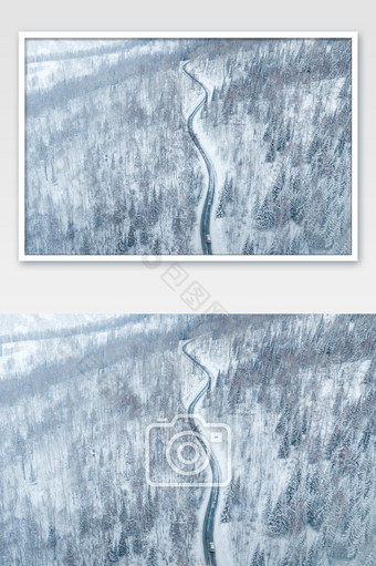 新疆喀纳斯冬季森林公路雪景图片