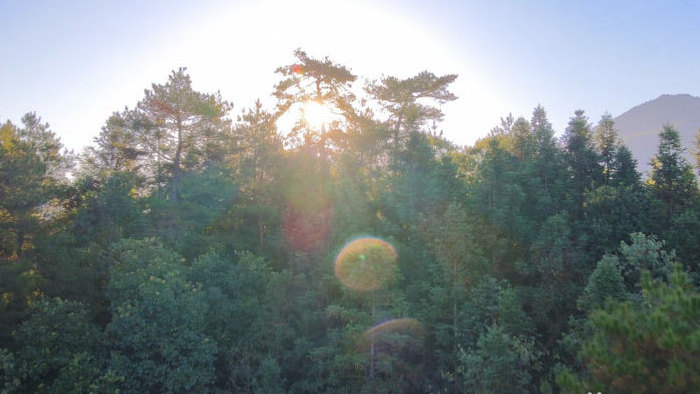 井冈山森林日出阳光大自然清晨4K航拍