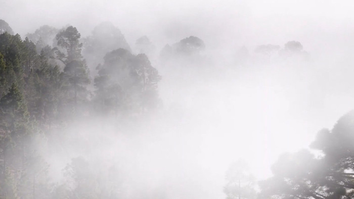 实拍雨后大雾笼罩的山林航拍视频素材