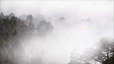 实拍雨后大雾笼罩的山林航拍视频素材