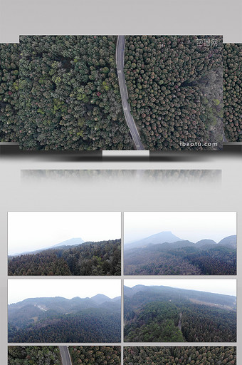 自然大气贵州道真云顶山林场4K航拍图片