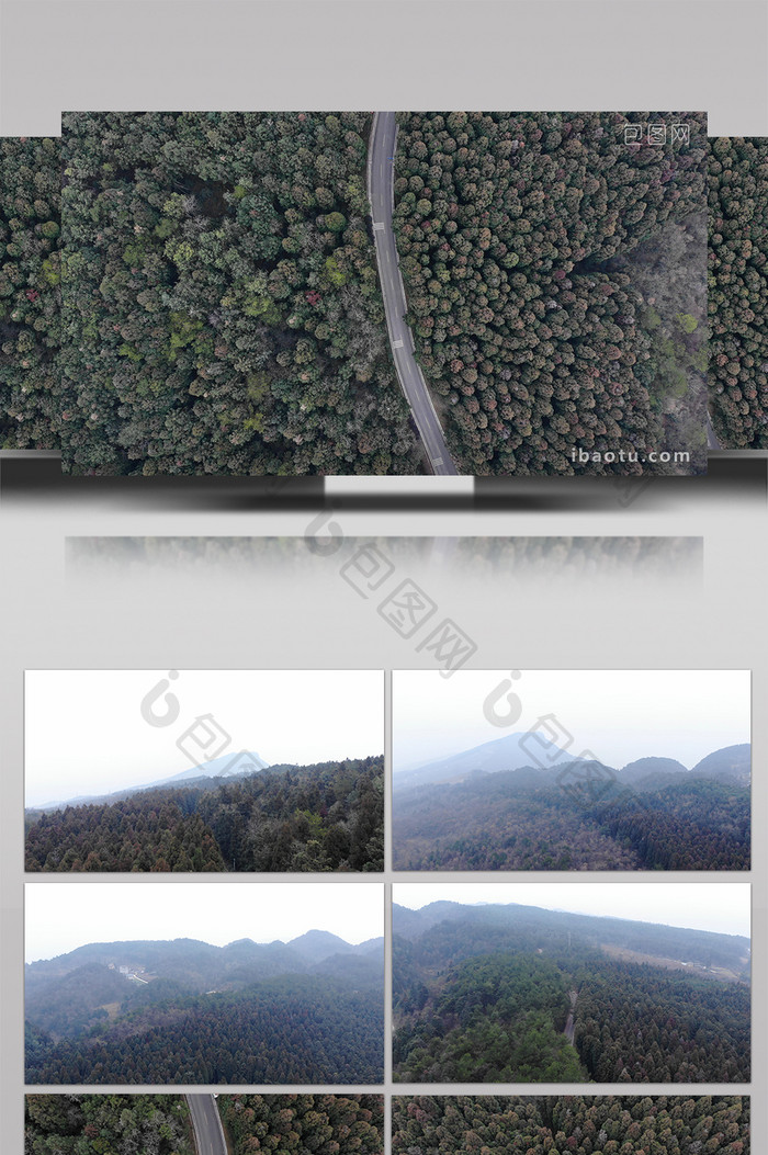 自然大气贵州道真云顶山林场4K航拍