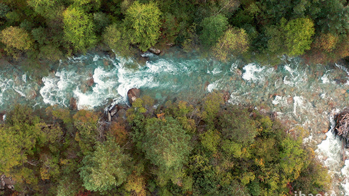 自然森林河流航拍4K实拍