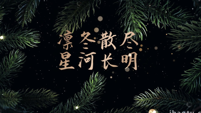 冬青树枝边框唯美圣诞节标题动画AE模板