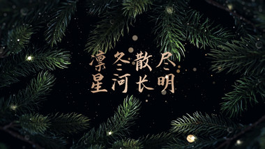 冬青树枝边框唯美圣诞节标题动画AE模板