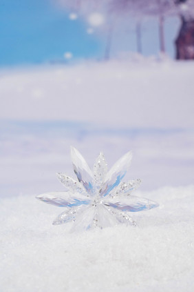 冬季雪地上的雪花雪景