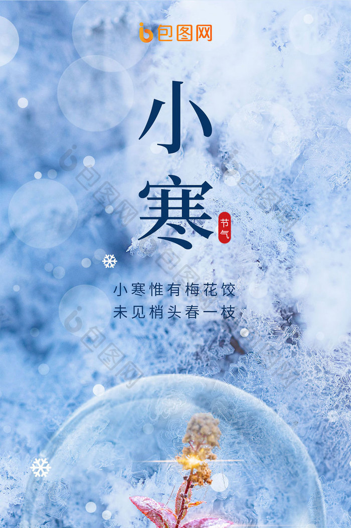 二十四节气之小寒雪花冷霜花朵手机海报图片