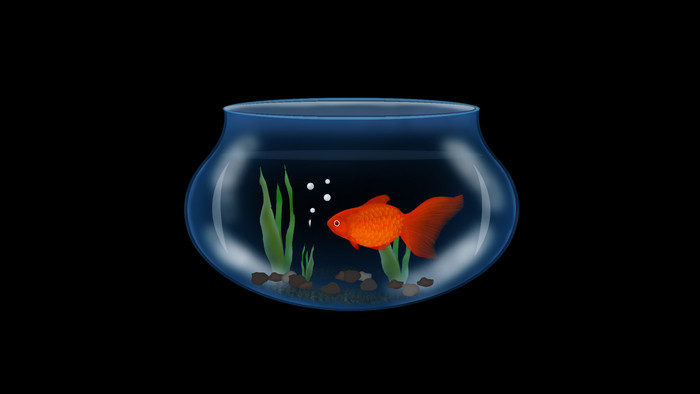 金鱼盆的动画片图片