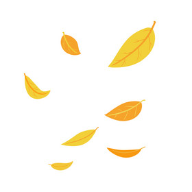 秋天被风飘落的黄色树叶动图GIF