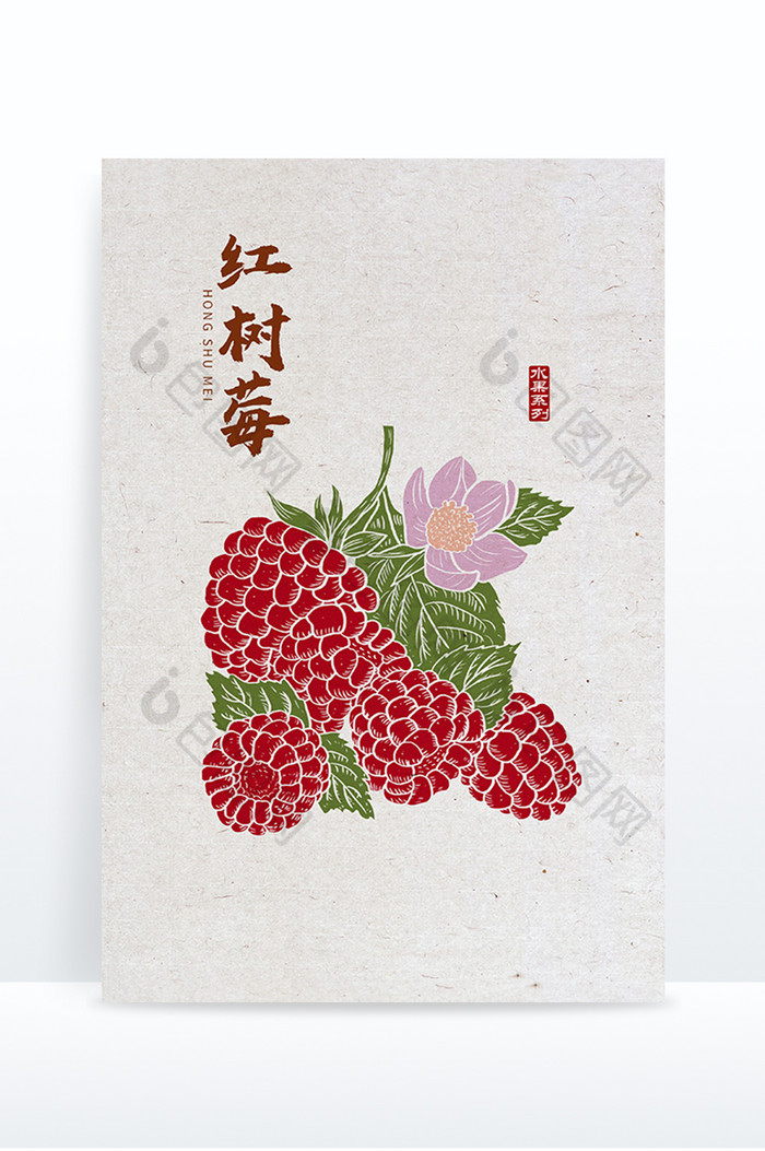 红树莓树莓版画风水果图片图片