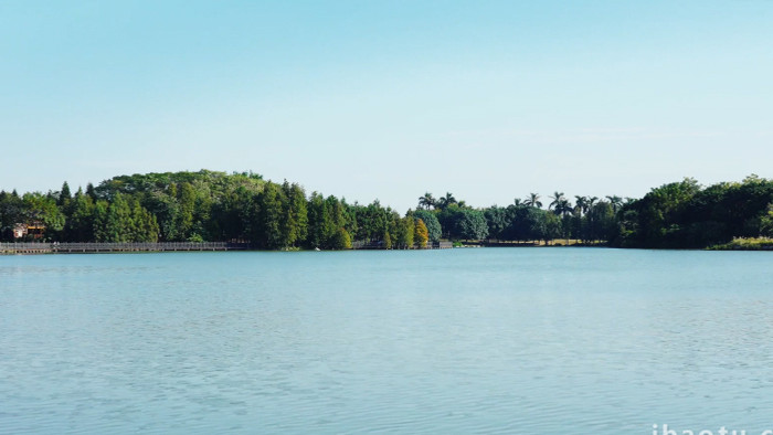 自然唯美城市湿地公园碧绿湖水生态环境实拍