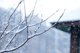 雪花树枝桠古建筑雪景