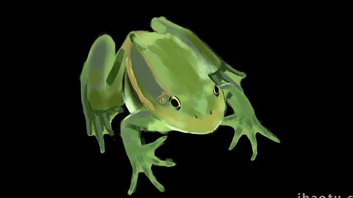 易用写实自然动物类mg动画青蛙