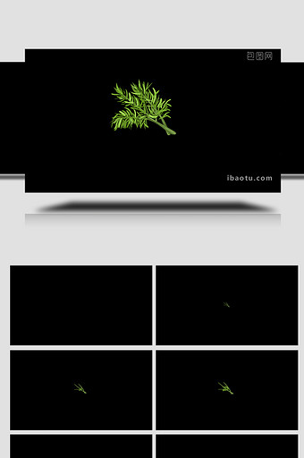 易用卡通类mg动画蔬菜类绿色茴香图片