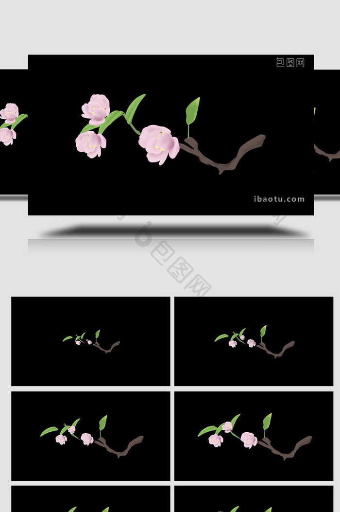 易用写实类mg动画植物类粉色海棠花