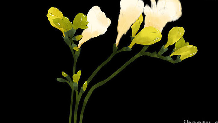 易用写实类mg动画植物类黄绿色的小苍兰