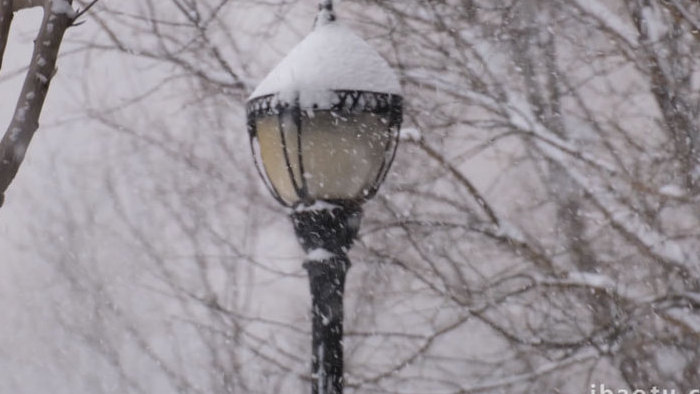 冬季下雪飘雪暴雪路灯雪松下大雪人文实拍