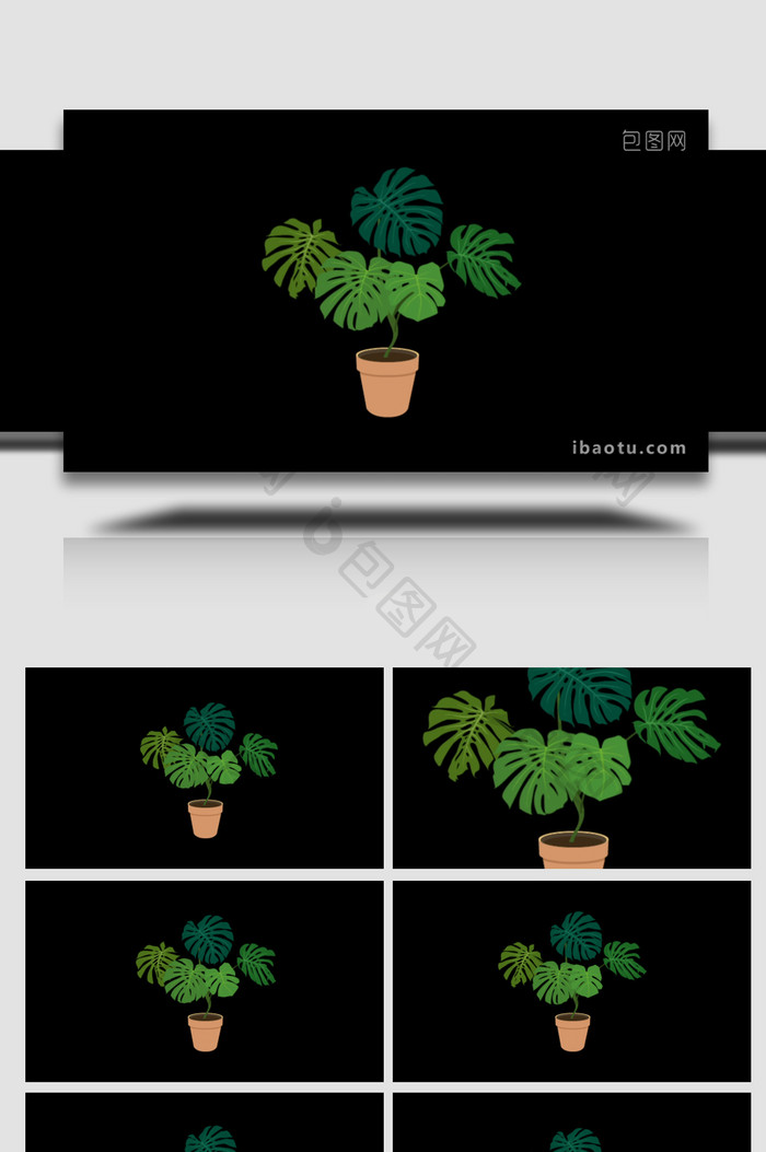 写实植物环保环境盆栽净化空气MG动画