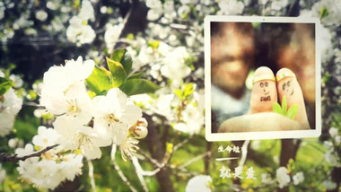 明媚春日森林花园婚礼爱情照片相册AE模板